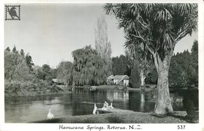 Rotorua Hamurana Springs