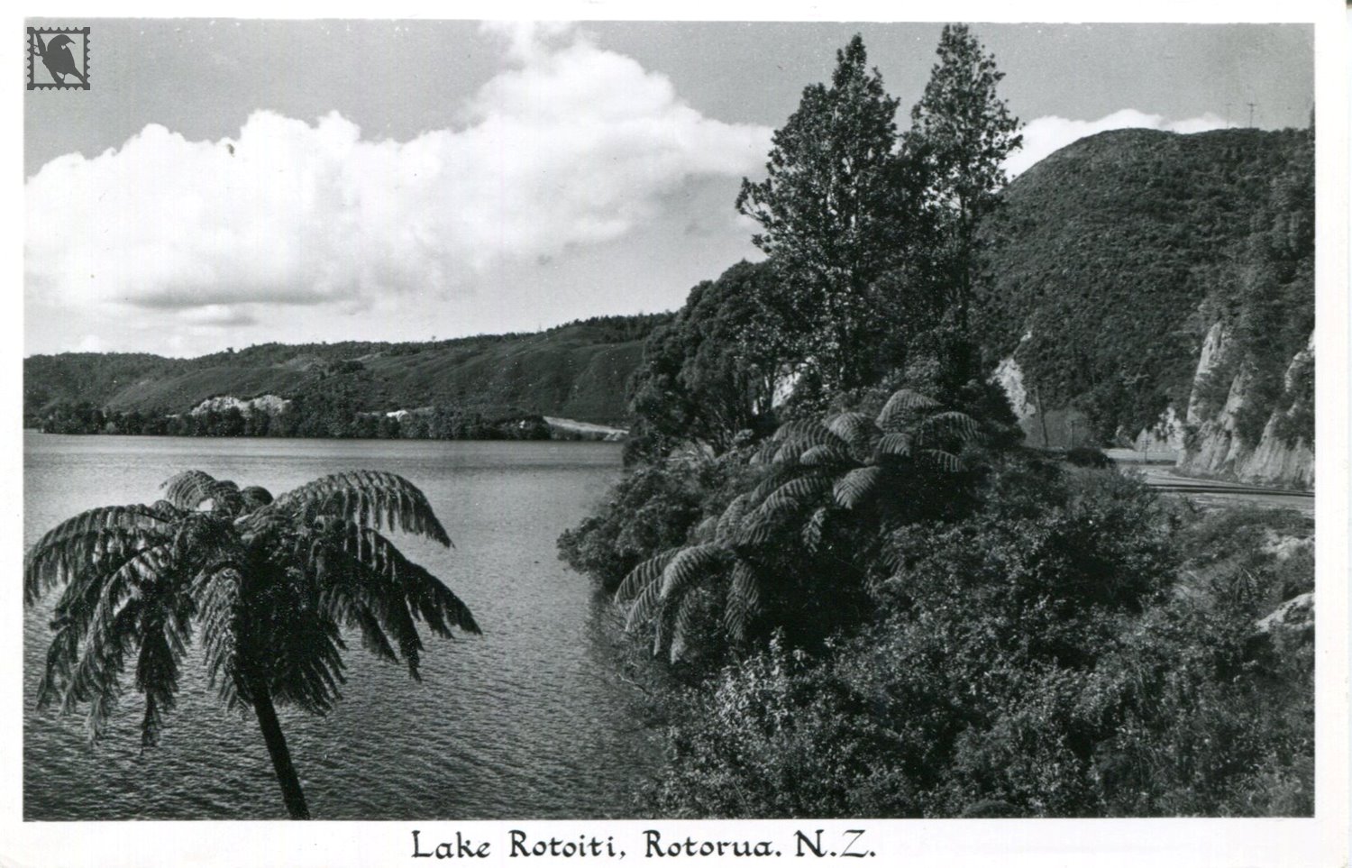 Lake Rotoiti Rotorua