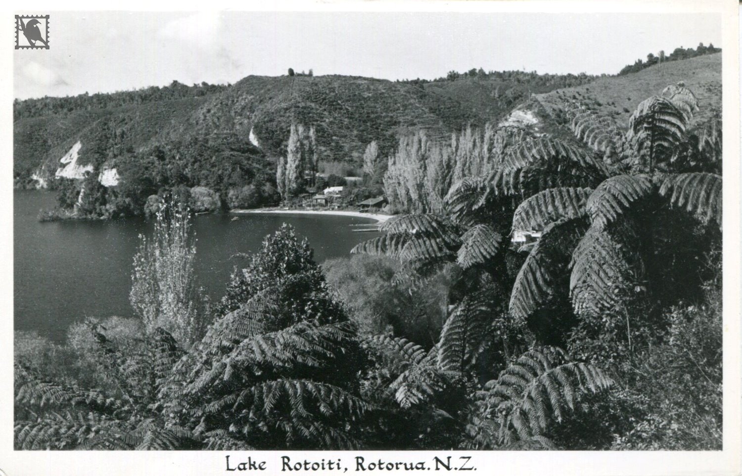 Rotorua Lake Rotoiti