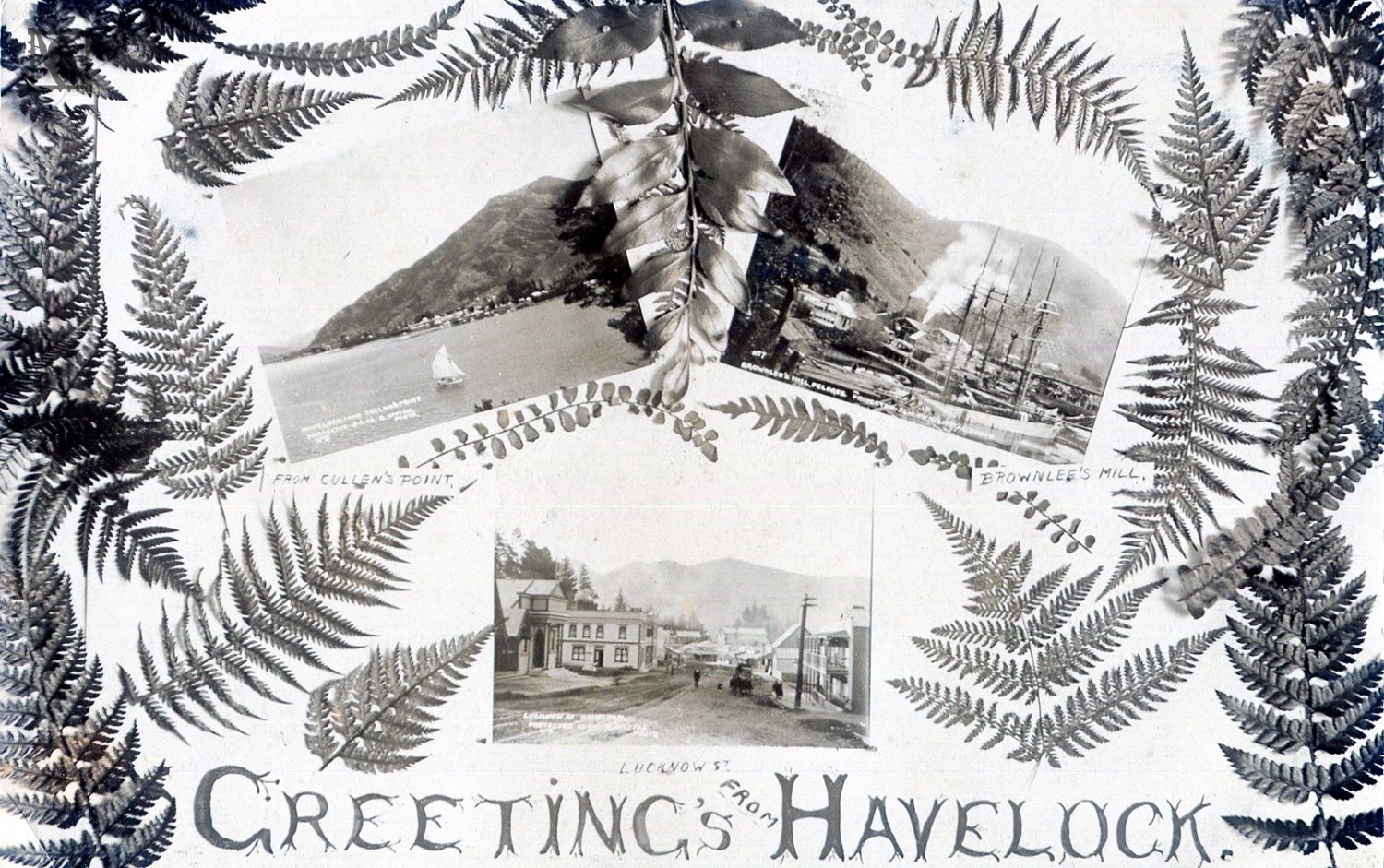 Greetings From Havelock