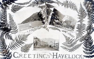 Greetings From Havelock (2)