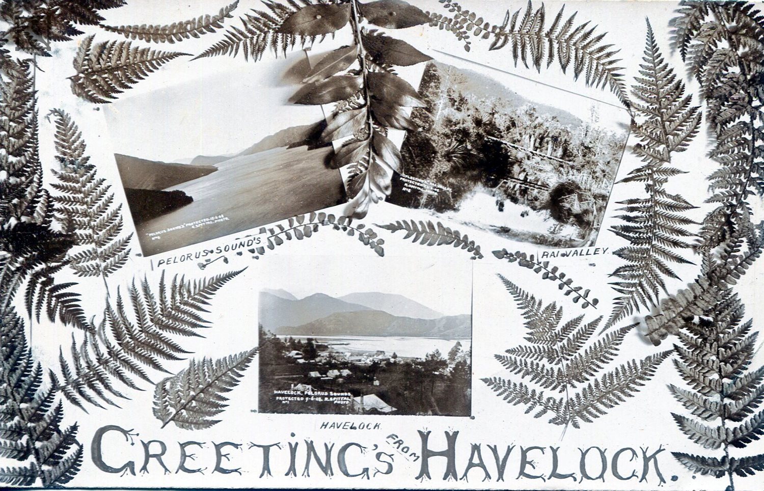 Greetings From Havelock