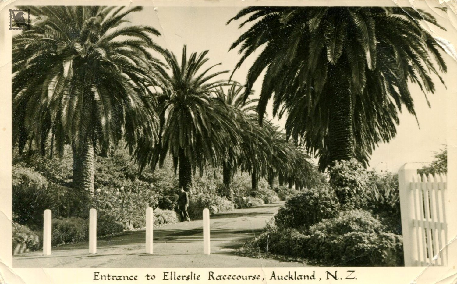 The Entrance way to the Ellerslie Racecourse