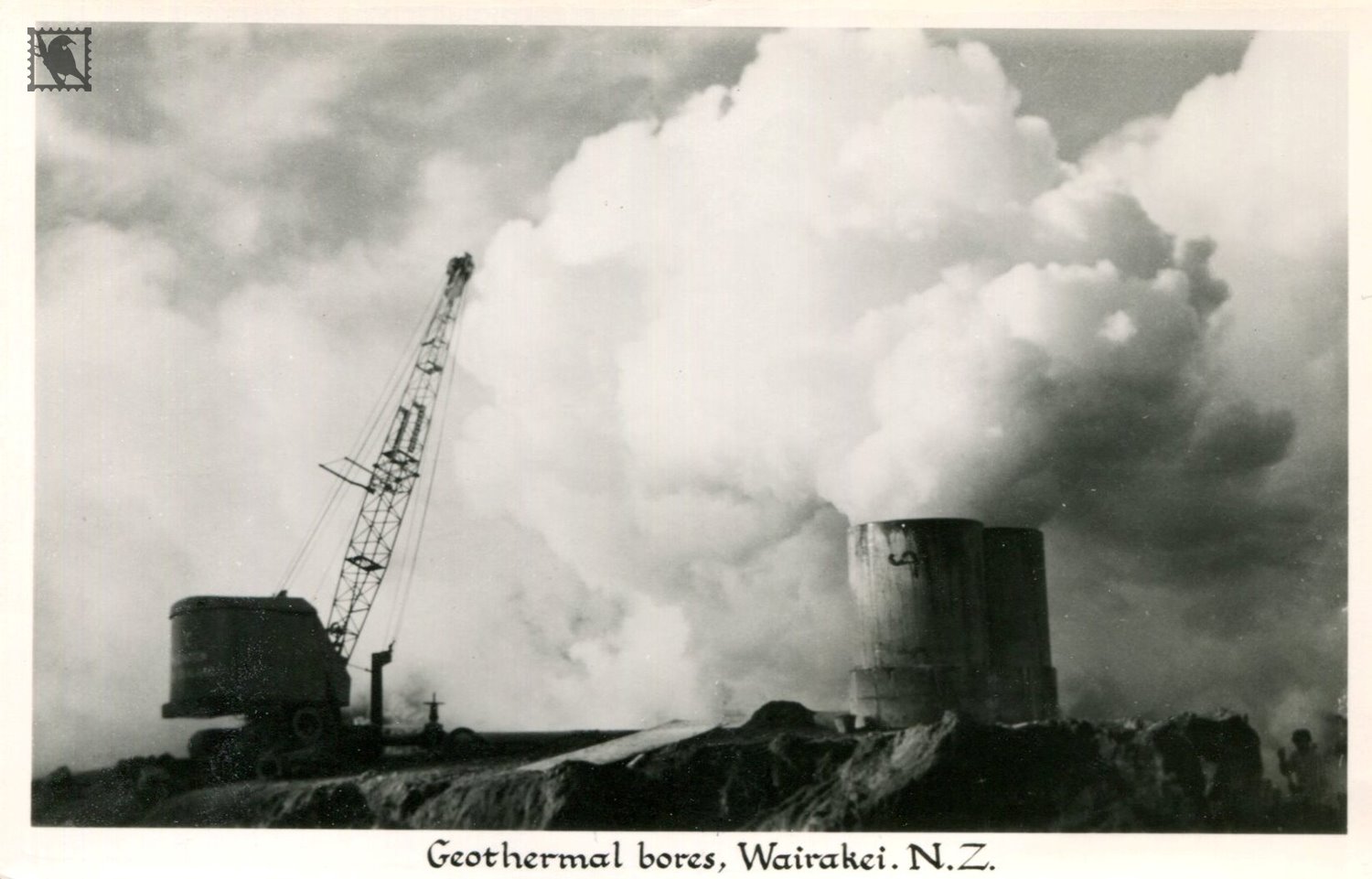 Geothermal Bores at Wairakei