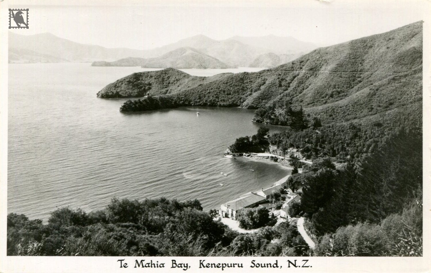 Te Mahia Bay Kenepuru Sound