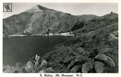 Te Mahia Kenepuru Sound (2)