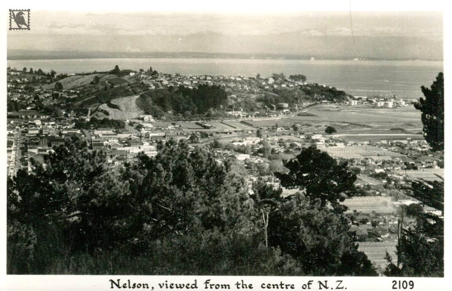 Nelson from the Centre of New Zealand