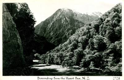 West Coast Descending from the Haast Pass