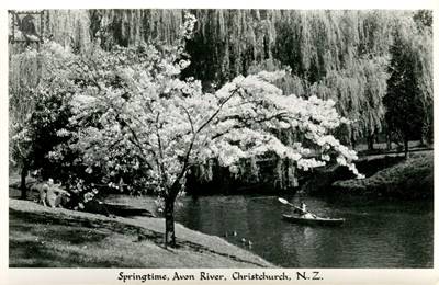 Christchurch Avon River in Springtime