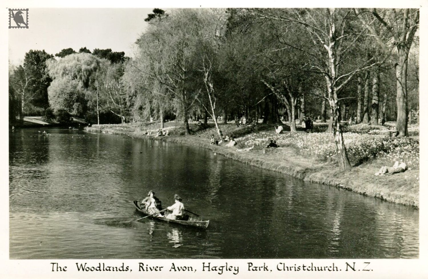 The Woodlands Hagley Park