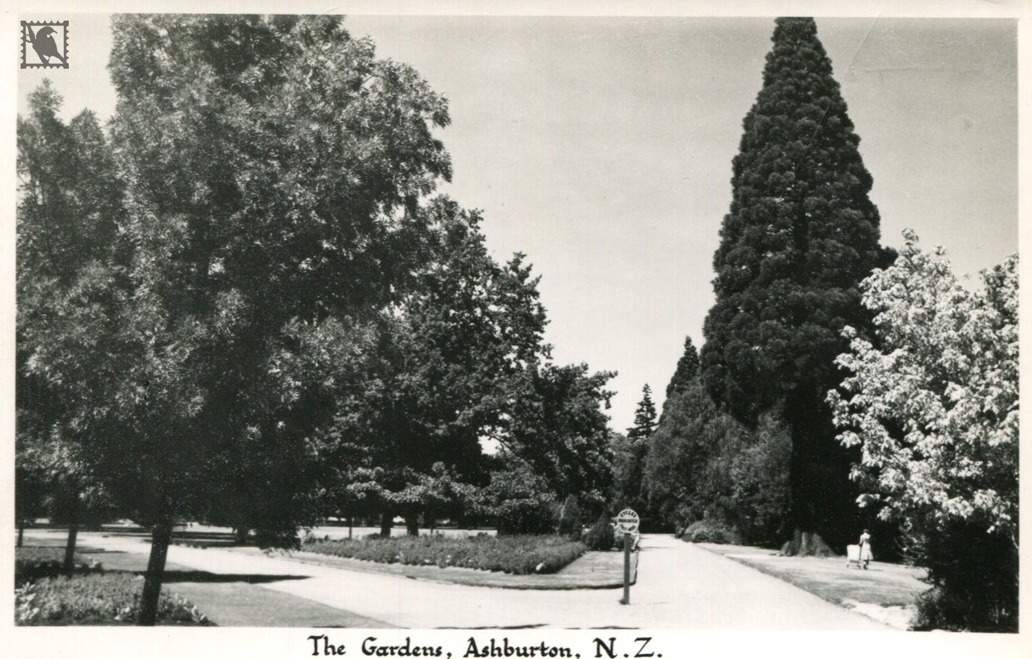 Ashburton The Gardens