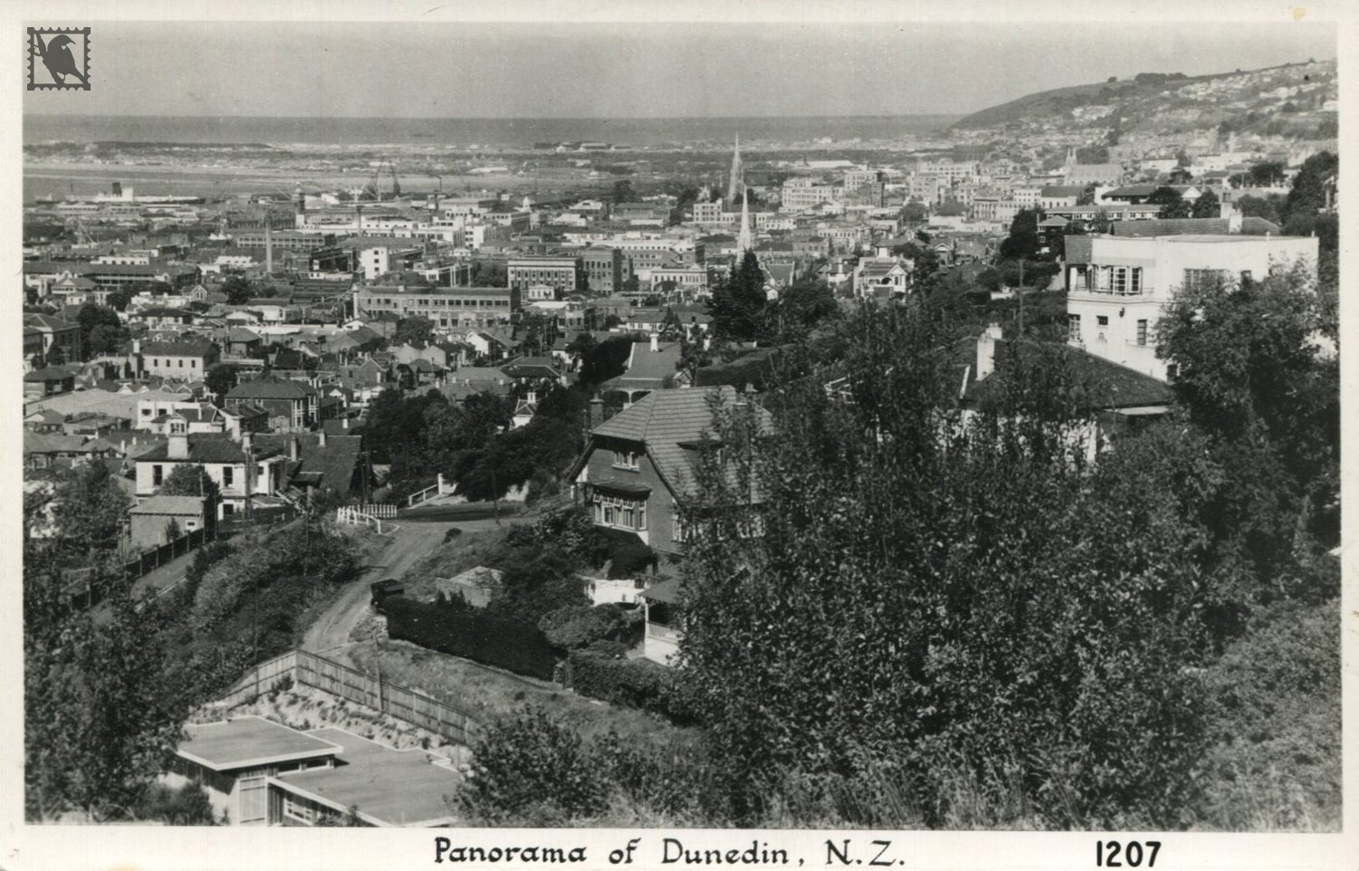 Dunedin - Panorama View