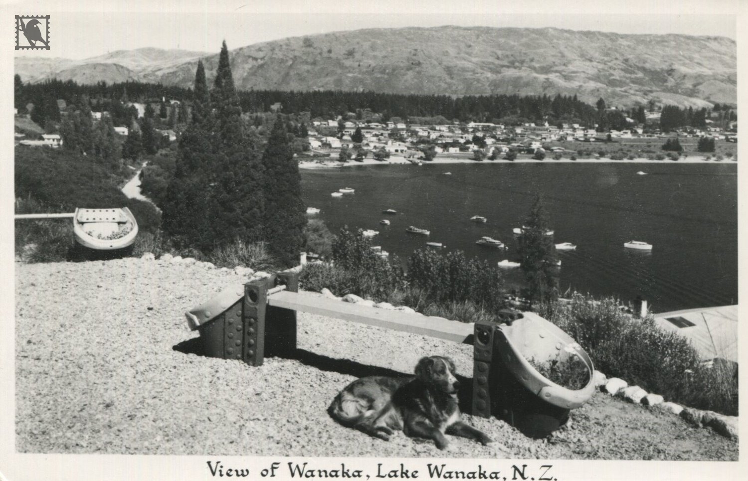 Lake Wanaka-View Of