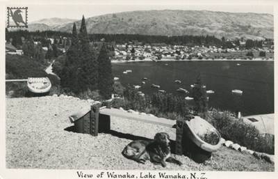 Lake Wanaka-View Of