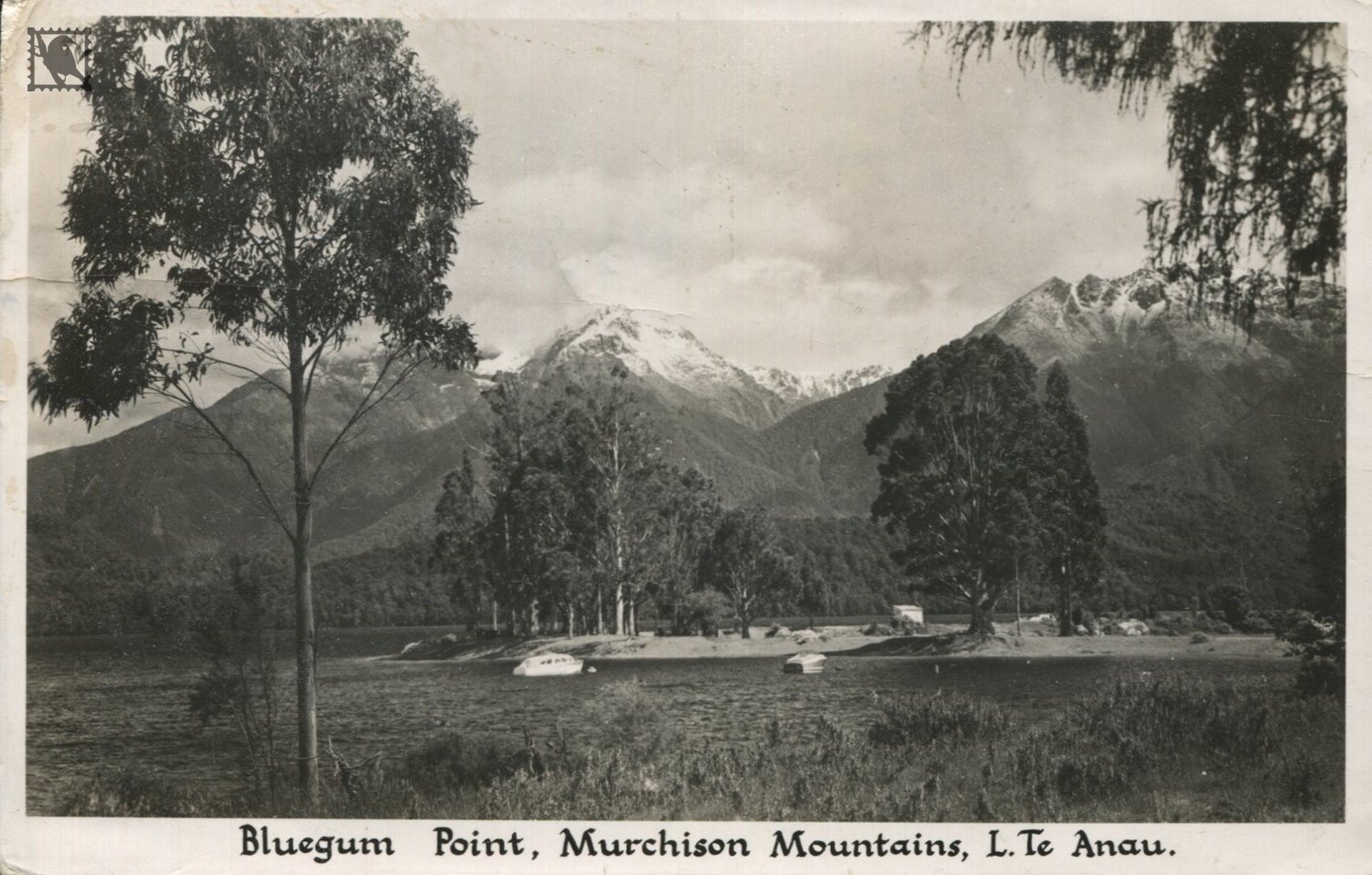 Te Anau- Bluegum Point & Murchison Mountains